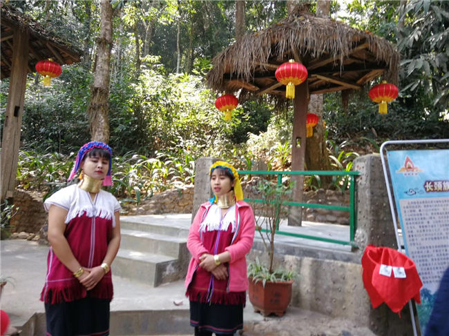參觀(guān)西雙版納獨(dú)樹(shù)成林景區(qū)、中緬邊境界碑和中國(guó)打洛口岸5.jpg