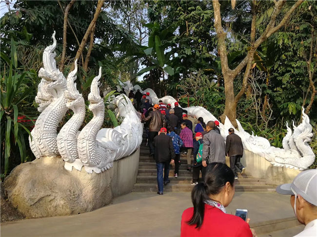 參觀(guān)版納曼聽(tīng)公司看大象表演2.jpg