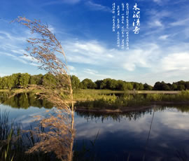 新義水鄉(xiāng)中醫(yī)藥浴康養(yǎng)、黃龍溪古鎮(zhèn)二日游