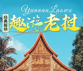【趣游老撾 · 經(jīng)典版納】—昆明、普洱、西雙版納、磨丁、瑯勃拉邦四動8日游